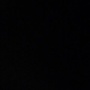 Meet your Posher, Will